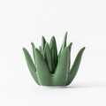 HomyPoint Agave Bloom Jewelry Dish